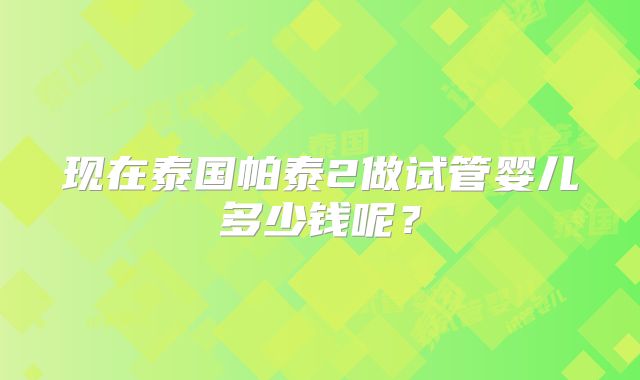现在泰国帕泰2做试管婴儿多少钱呢？