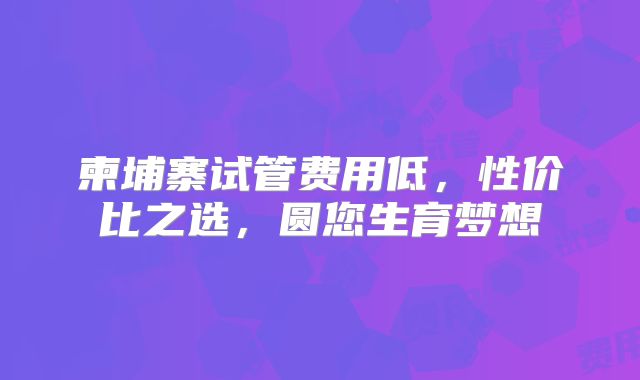 柬埔寨试管费用低，性价比之选，圆您生育梦想