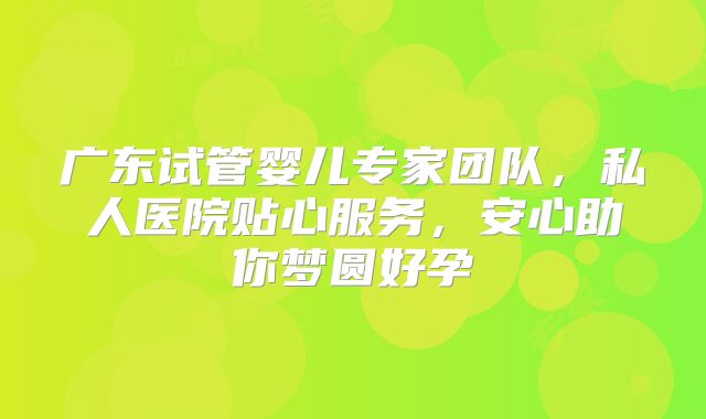 广东试管婴儿专家团队，私人医院贴心服务，安心助你梦圆好孕