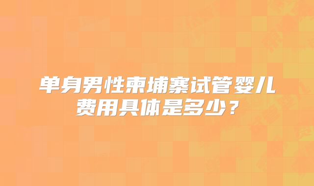 单身男性柬埔寨试管婴儿费用具体是多少？