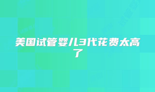 美国试管婴儿3代花费太高了