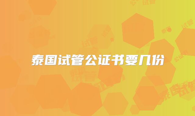 泰国试管公证书要几份