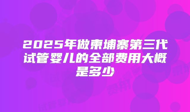 2025年做柬埔寨第三代试管婴儿的全部费用大概是多少