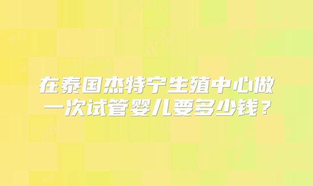 在泰国杰特宁生殖中心做一次试管婴儿要多少钱？