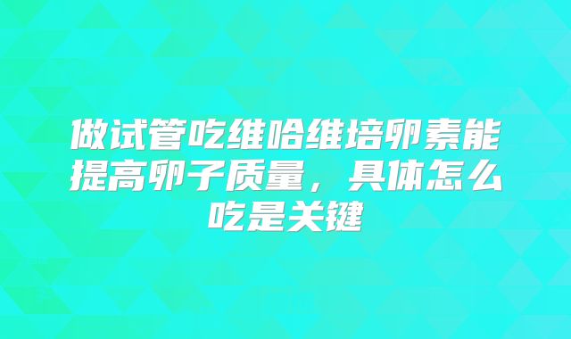做试管吃维哈维培卵素能提高卵子质量，具体怎么吃是关键