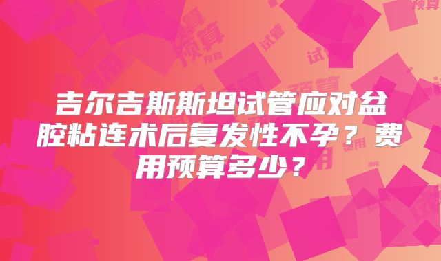 吉尔吉斯斯坦试管应对盆腔粘连术后复发性不孕？费用预算多少？