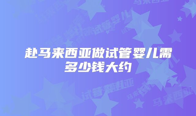 赴马来西亚做试管婴儿需多少钱大约