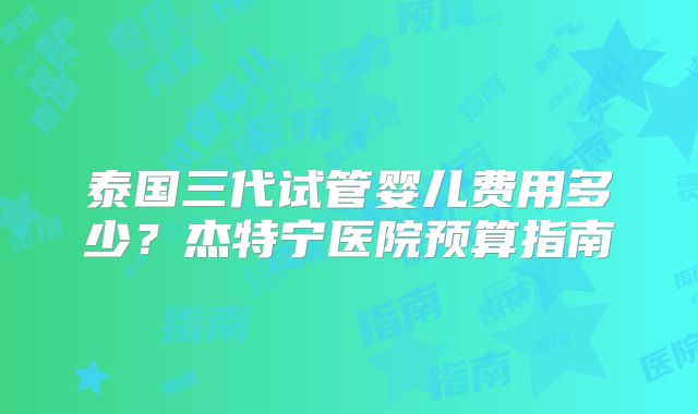 泰国三代试管婴儿费用多少？杰特宁医院预算指南