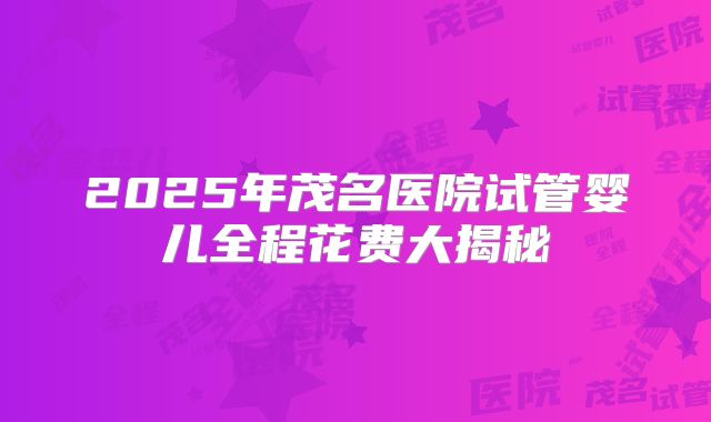 2025年茂名医院试管婴儿全程花费大揭秘