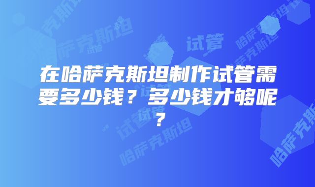在哈萨克斯坦制作试管需要多少钱？多少钱才够呢？