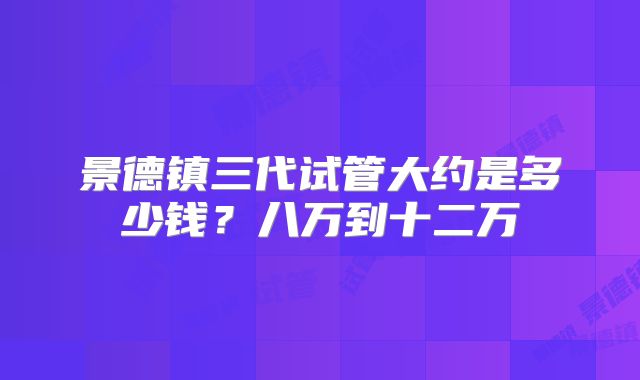 景德镇三代试管大约是多少钱？八万到十二万