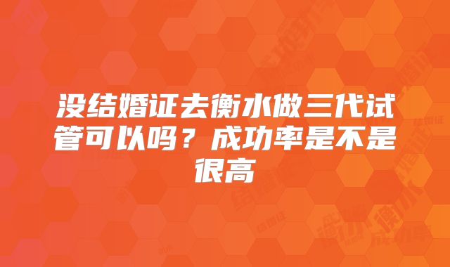 没结婚证去衡水做三代试管可以吗？成功率是不是很高