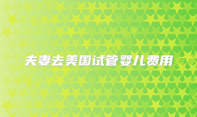 夫妻去美国试管婴儿费用