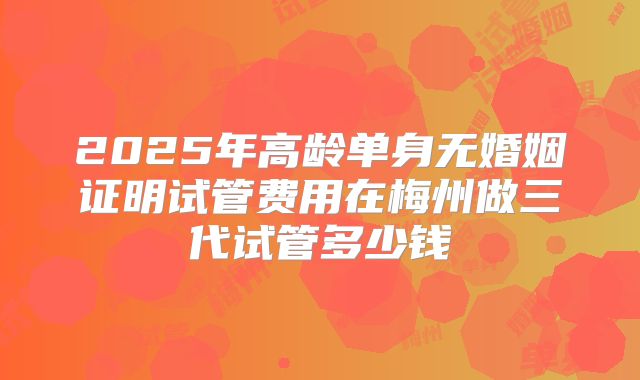 2025年高龄单身无婚姻证明试管费用在梅州做三代试管多少钱