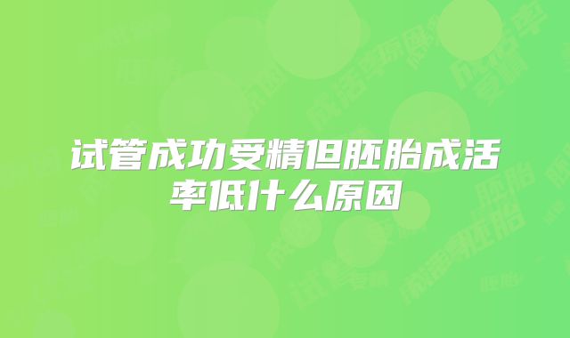 试管成功受精但胚胎成活率低什么原因