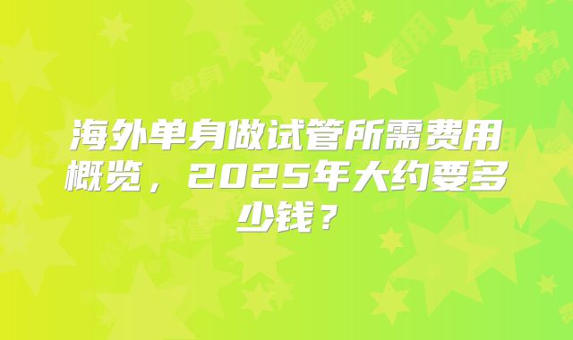 海外单身做试管所需费用概览,2025年大约要多少钱?