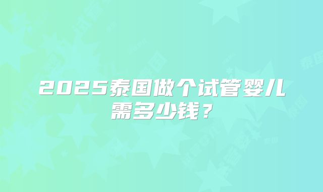 2025泰国做个试管婴儿需多少钱？