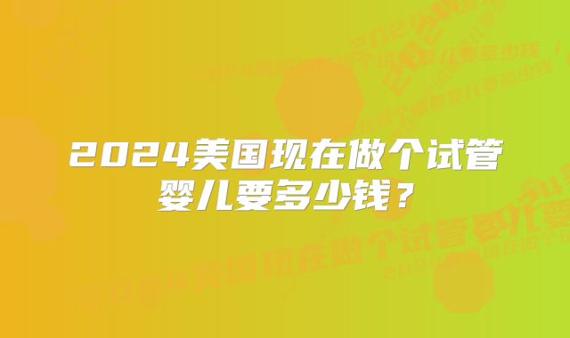 2024美国现在做个试管婴儿要多少钱?