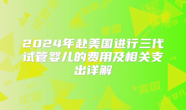 2024年赴美国进行三代试管婴儿的费用及相关支出详解