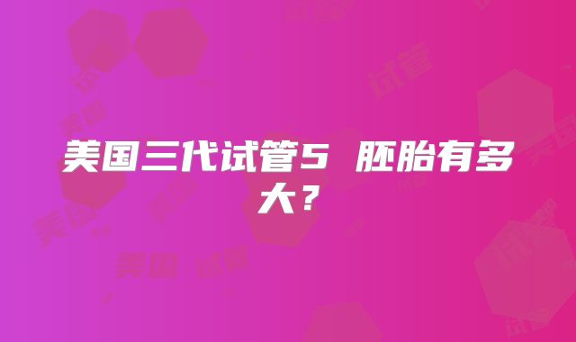 美国三代试管5 胚胎有多大？