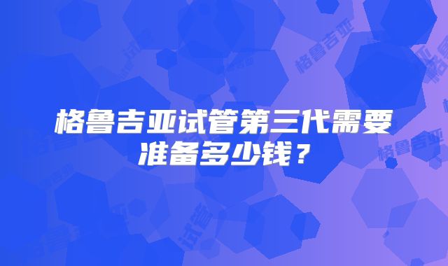 格鲁吉亚试管第三代需要准备多少钱？