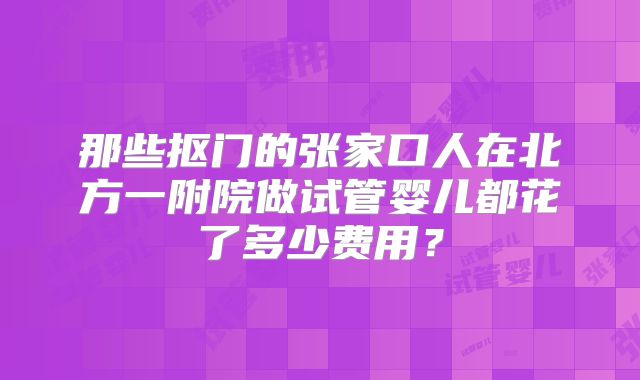那些抠门的张家口人在北方一附院做试管婴儿都花了多少费用？