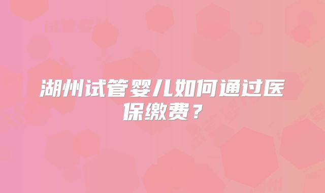湖州试管婴儿如何通过医保缴费？