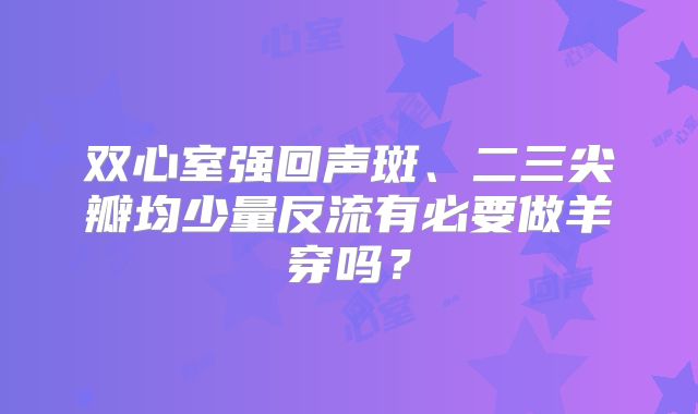 双心室强回声斑、二三尖瓣均少量反流有必要做羊穿吗？