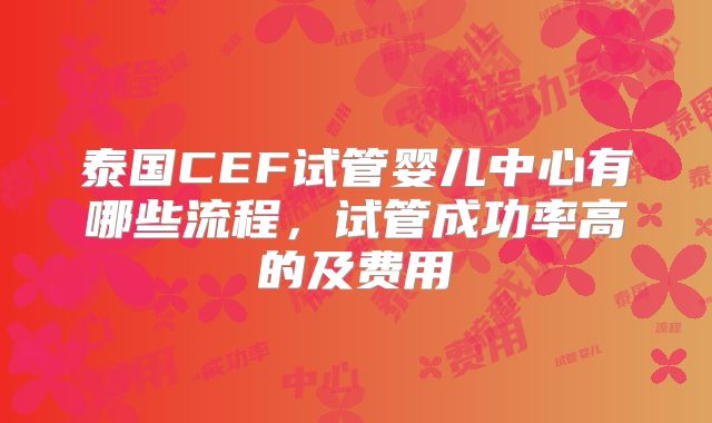 泰国CEF试管婴儿中心有哪些流程，试管成功率高的及费用