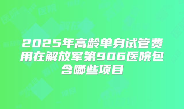 2025年高龄单身试管费用在解放军第906医院包含哪些项目