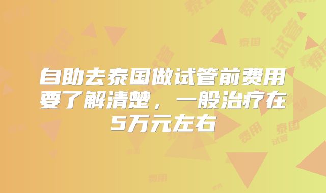 自助去泰国做试管前费用要了解清楚，一般治疗在5万元左右