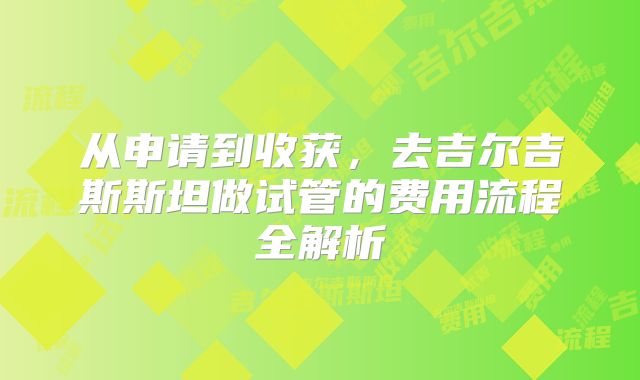 从申请到收获，去吉尔吉斯斯坦做试管的费用流程全解析