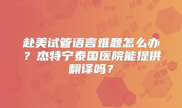 赴美试管语言难题怎么办？杰特宁泰国医院能提供翻译吗？