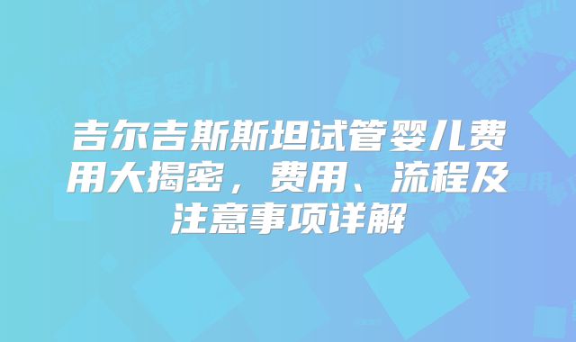 吉尔吉斯斯坦试管婴儿费用大揭密，费用、流程及注意事项详解