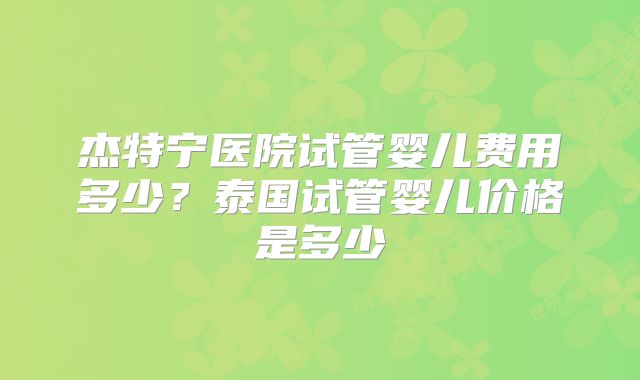 杰特宁医院试管婴儿费用多少？泰国试管婴儿价格是多少