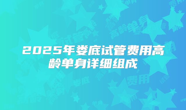 2025年娄底试管费用高龄单身详细组成
