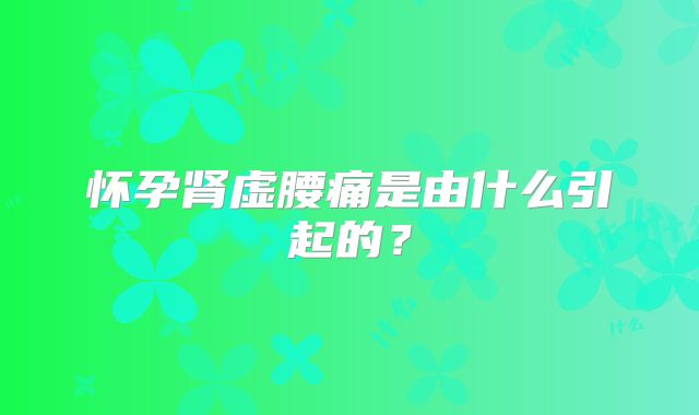 怀孕肾虚腰痛是由什么引起的?