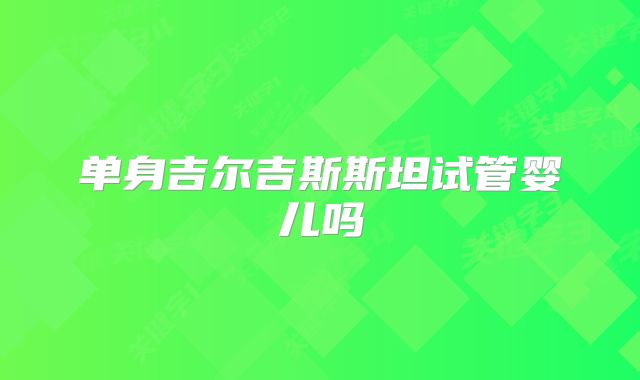 单身吉尔吉斯斯坦试管婴儿吗