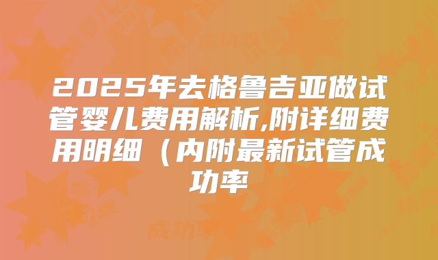 2025年去格鲁吉亚做试管婴儿费用解析,附详细费用明细（内附最新试管成功率