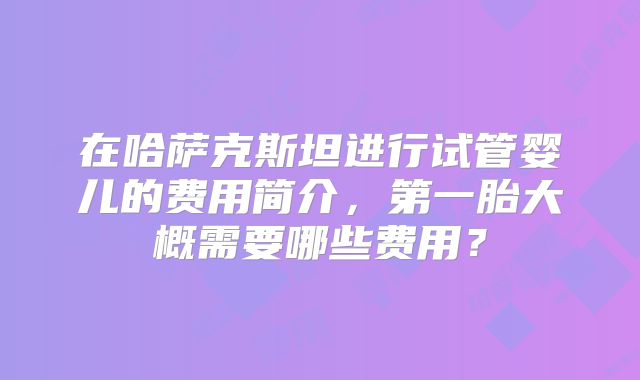 在哈萨克斯坦进行试管婴儿的费用简介，第一胎大概需要哪些费用？