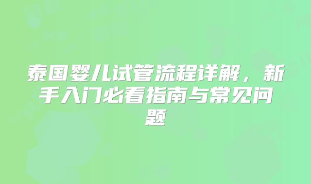 泰国婴儿试管流程详解，新手入门必看指南与常见问题