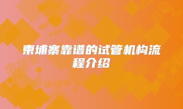 柬埔寨靠谱的试管机构流程介绍