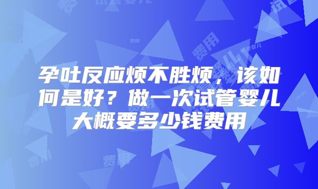 孕吐反应烦不胜烦，该如何是好？做一次试管婴儿大概要多少钱费用