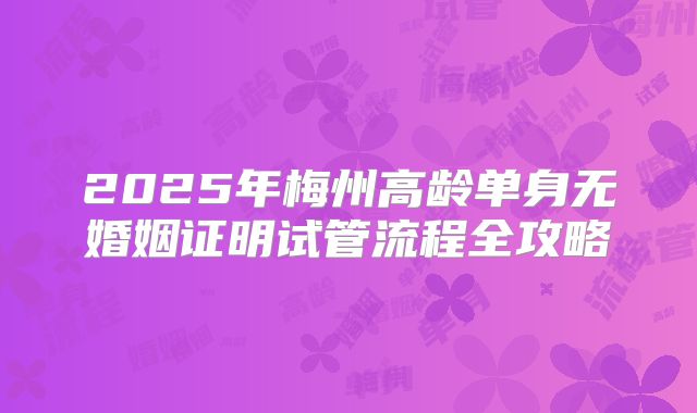 2025年梅州高龄单身无婚姻证明试管流程全攻略