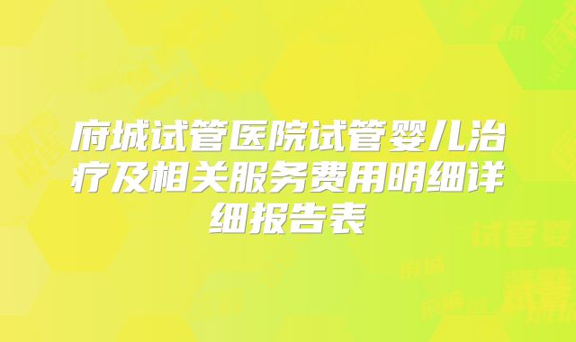 府城试管医院试管婴儿治疗及相关服务费用明细详细报告表