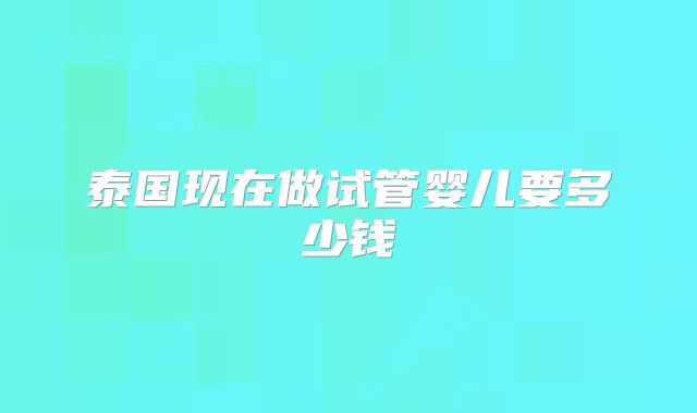 泰国现在做试管婴儿要多少钱
