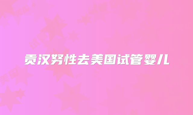 贡汉努性去美国试管婴儿