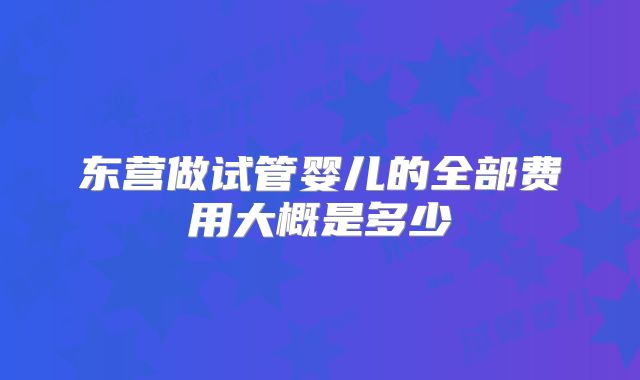 东营做试管婴儿的全部费用大概是多少