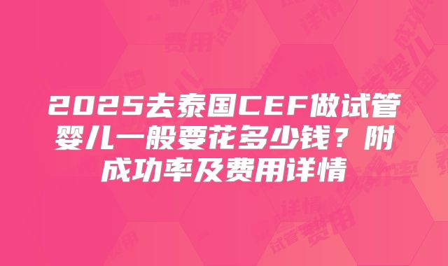 2025去泰国CEF做试管婴儿一般要花多少钱？附成功率及费用详情