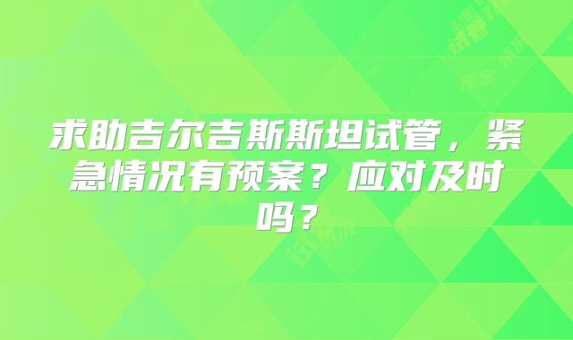 求助吉尔吉斯斯坦试管，紧急情况有预案？应对及时吗？